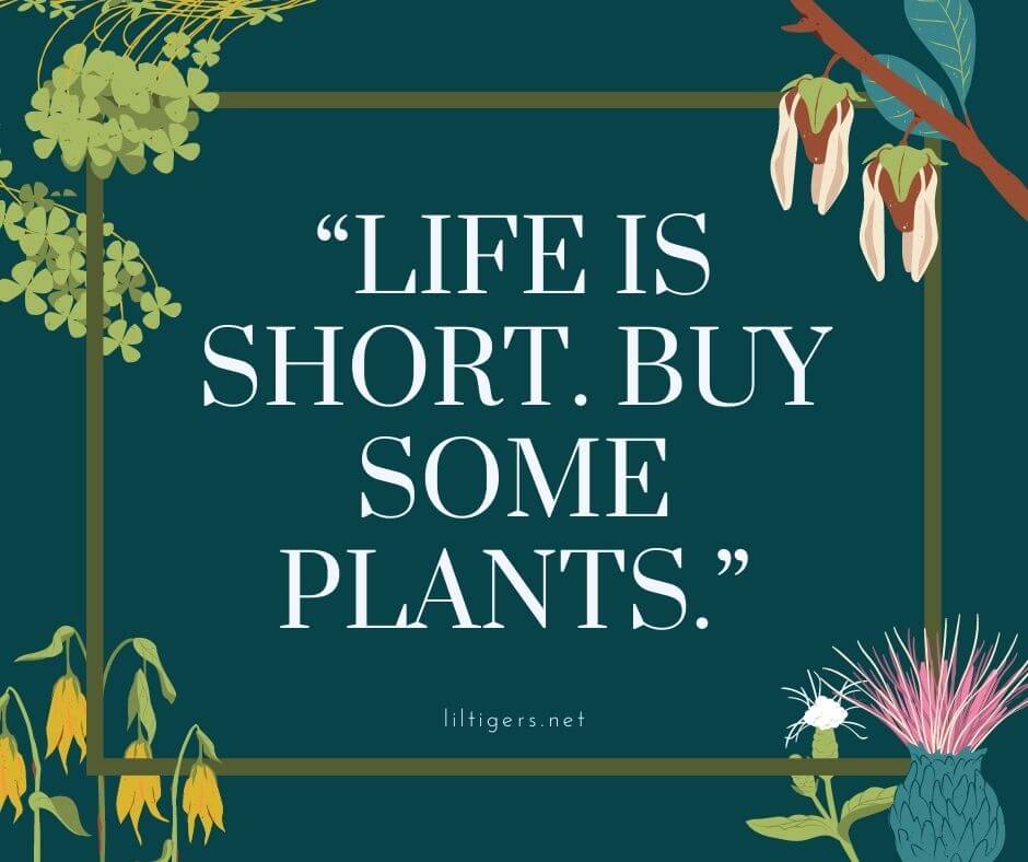 gardening sayings for kids