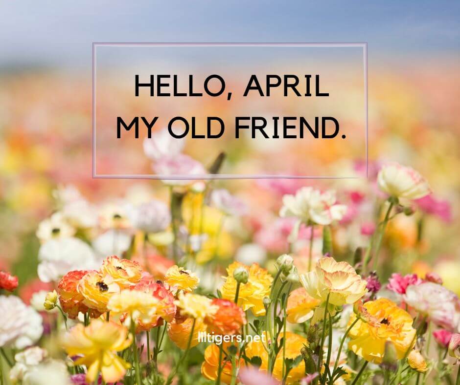 welcome April quotes and captions