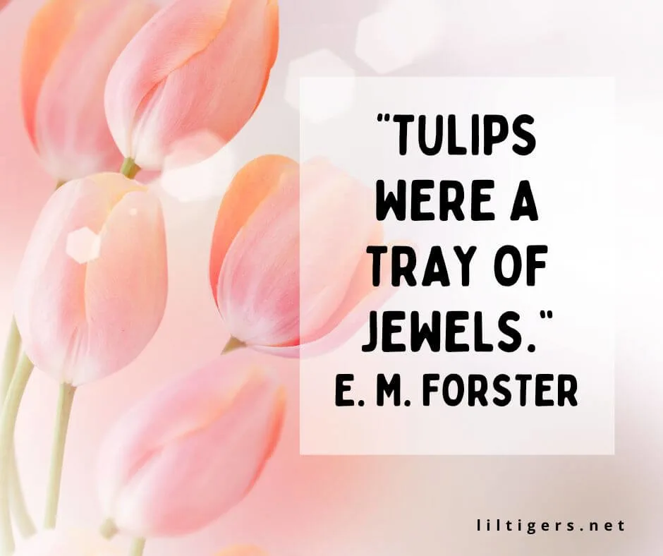 cute tulip quotes for kids