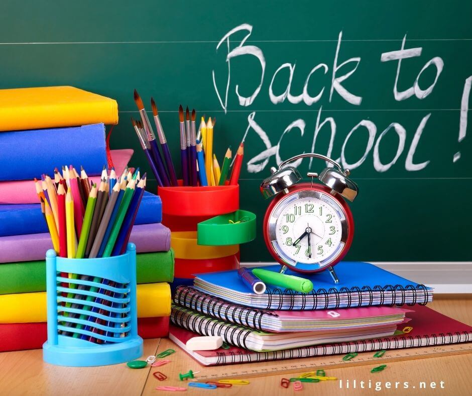 Best Back-to-School Quotes 2023