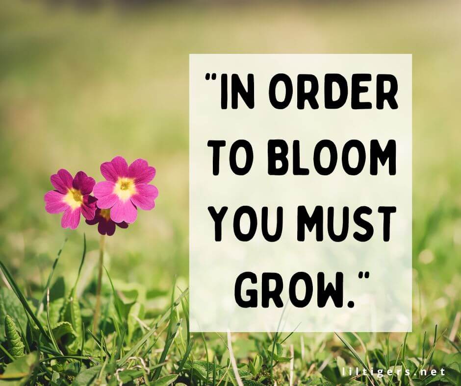 inspiring gardening quotes for kids