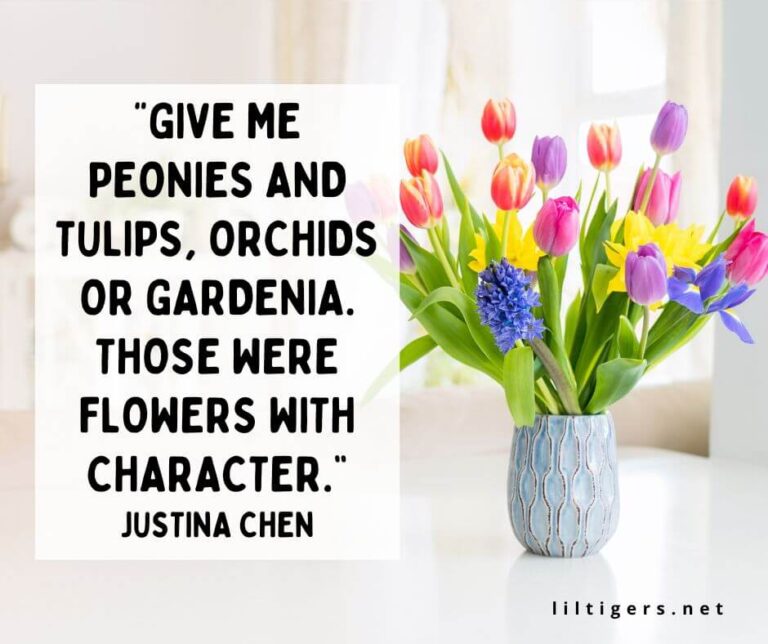 145 Best Tulip Quotes for Kids Lil Tigers