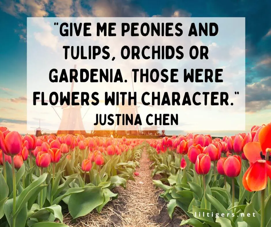 short tulip quotes