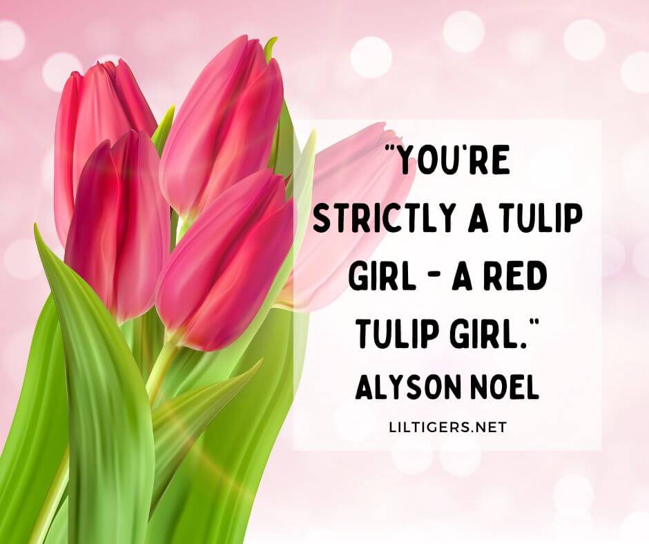 funny tulip quotes
