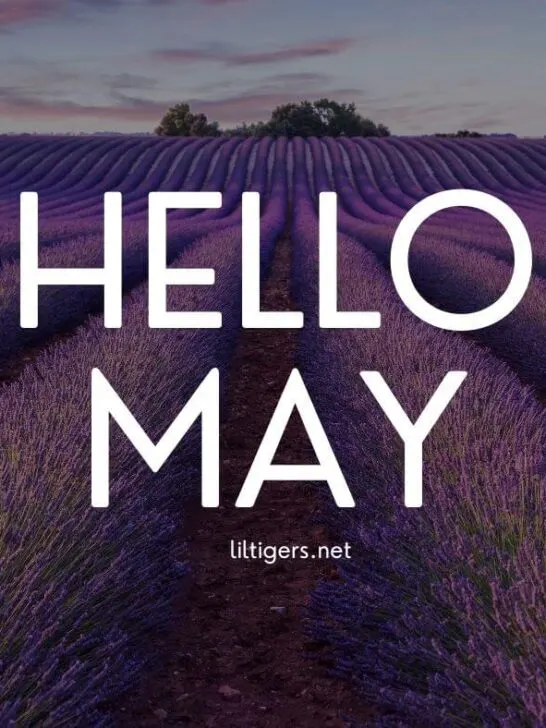 hello may quotes for kids