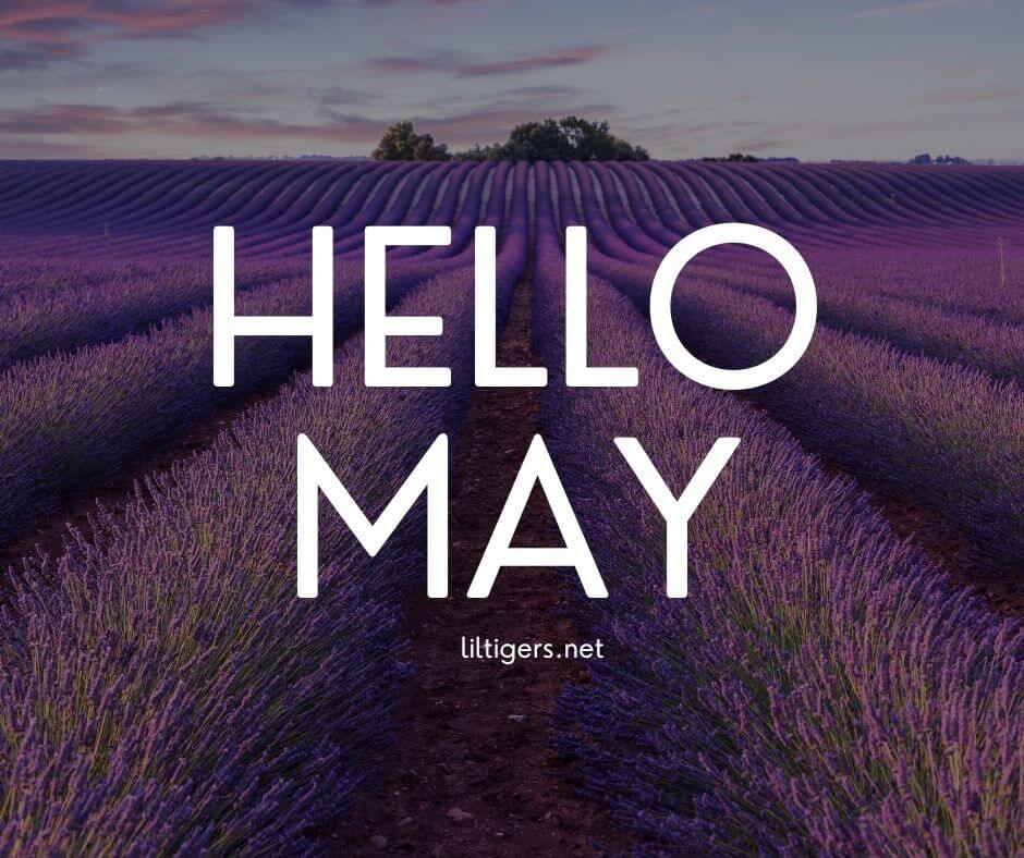 hello may quotes for kids