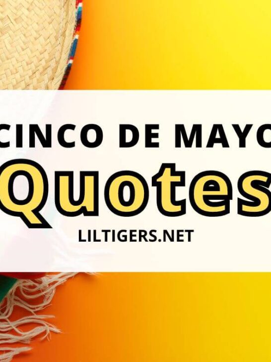 cinco de mayo quotes for kids