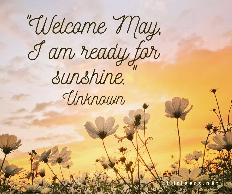 welcome may sayings