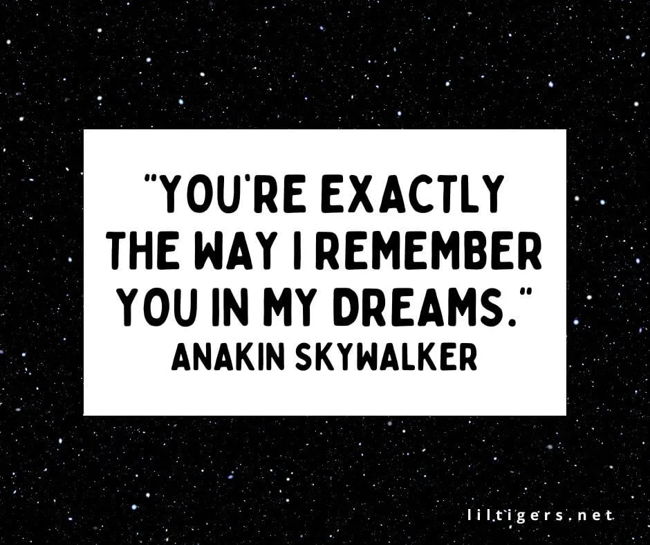 Star Wars Quotes About Love