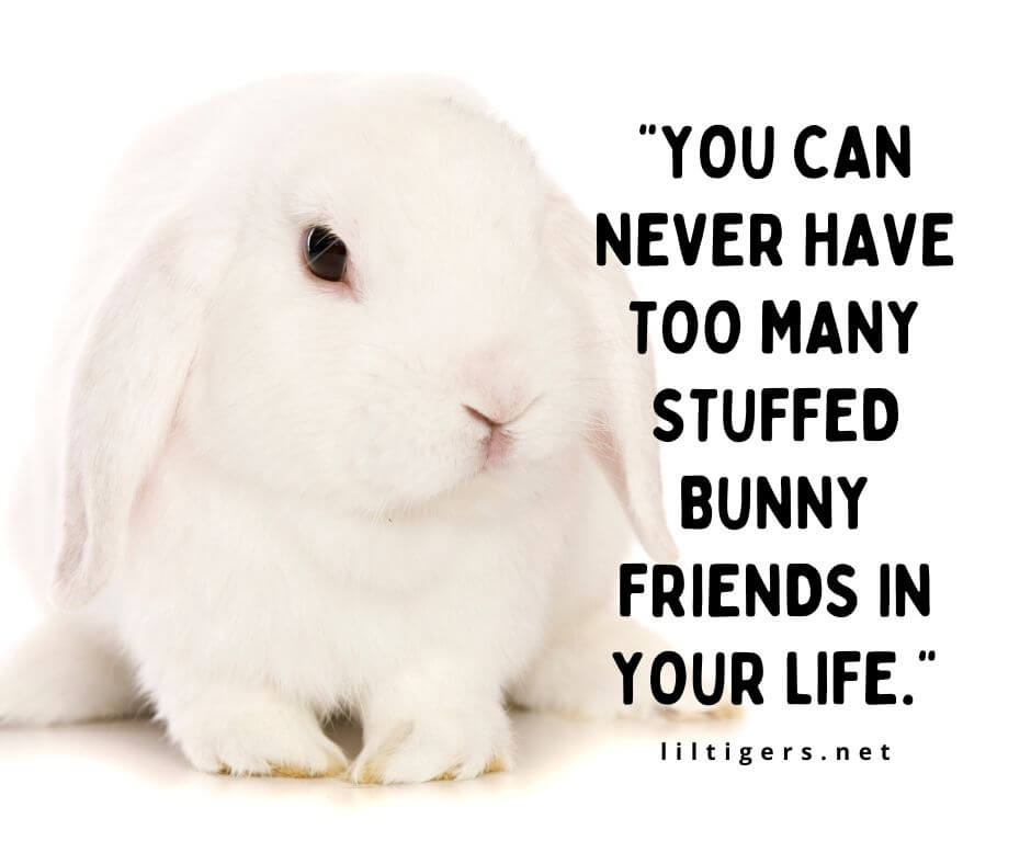 Fun Bunny quotes for children