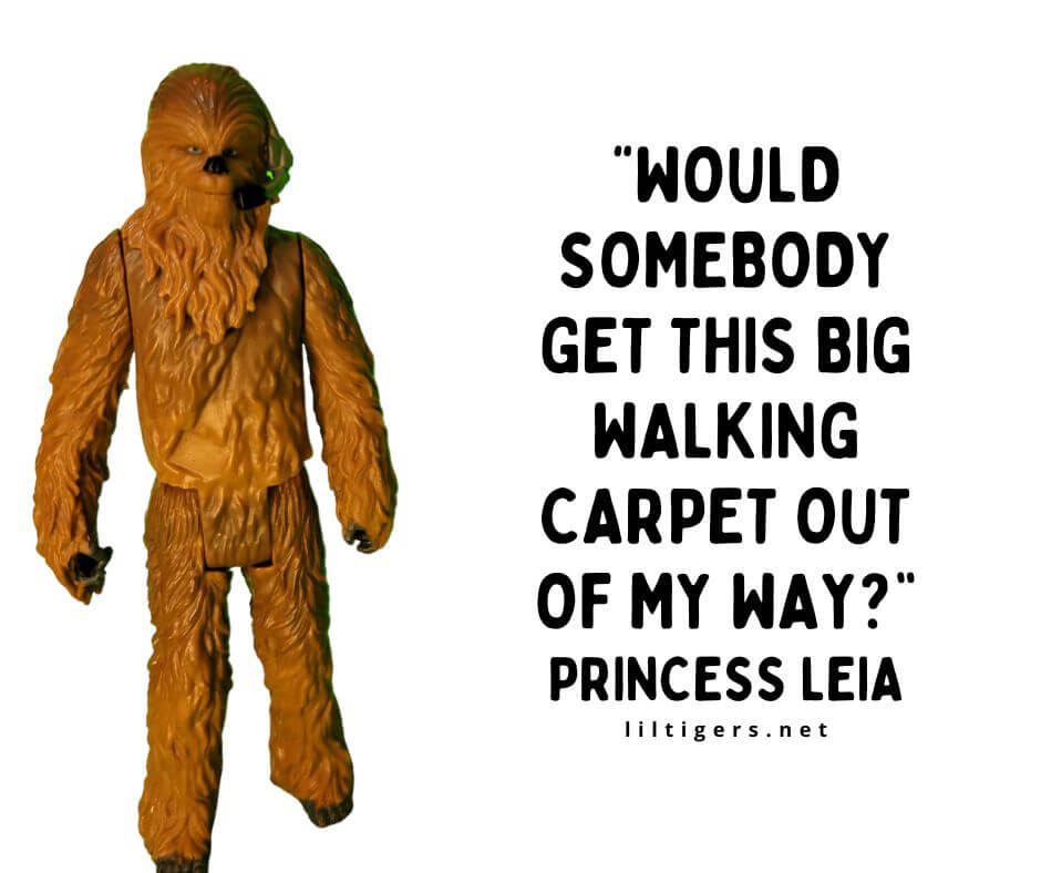 Funny Star Wars Quotes