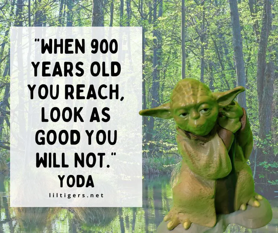 funny quotes from star wars for kids