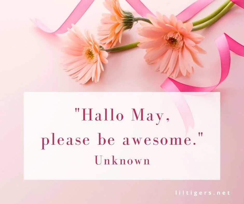 welcoming may quotes 2023