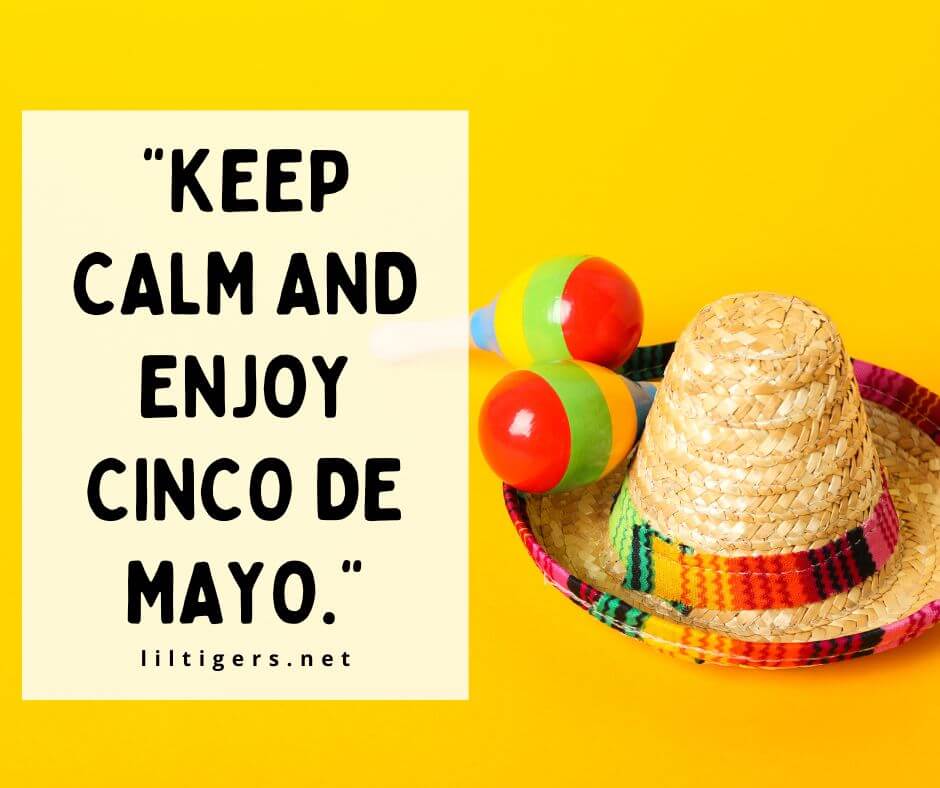 cinco de mayo quotes short