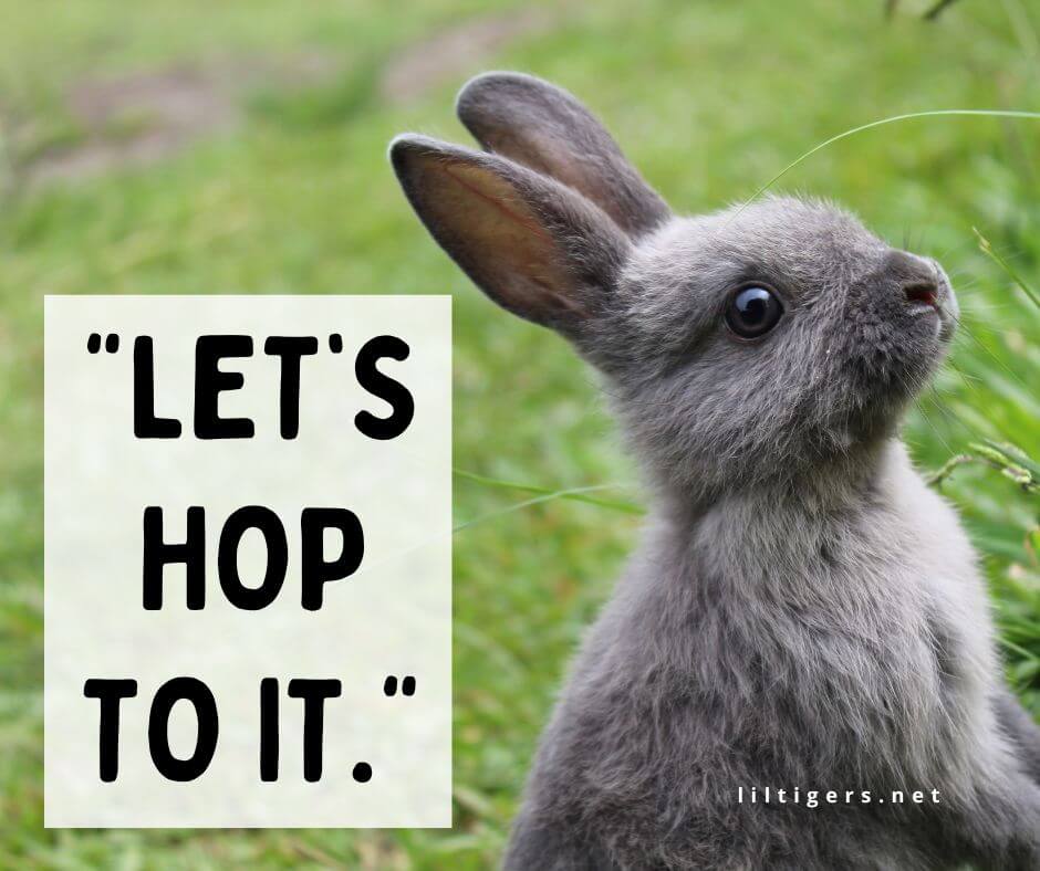 Motivational Rabbit Quotes