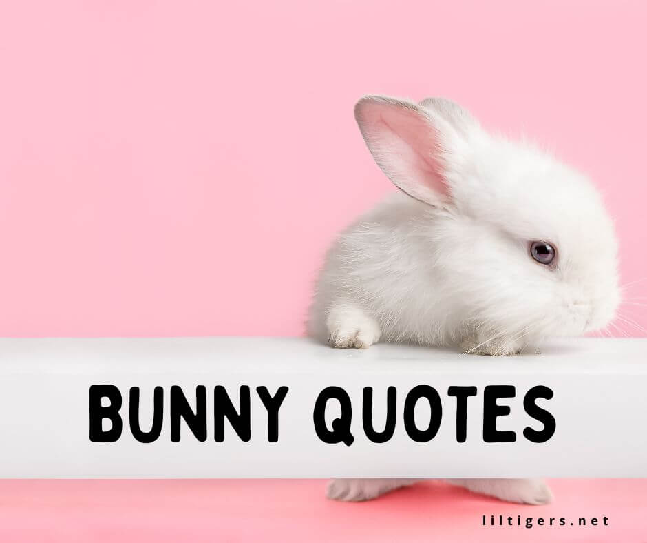 fun bunny quotes for kids