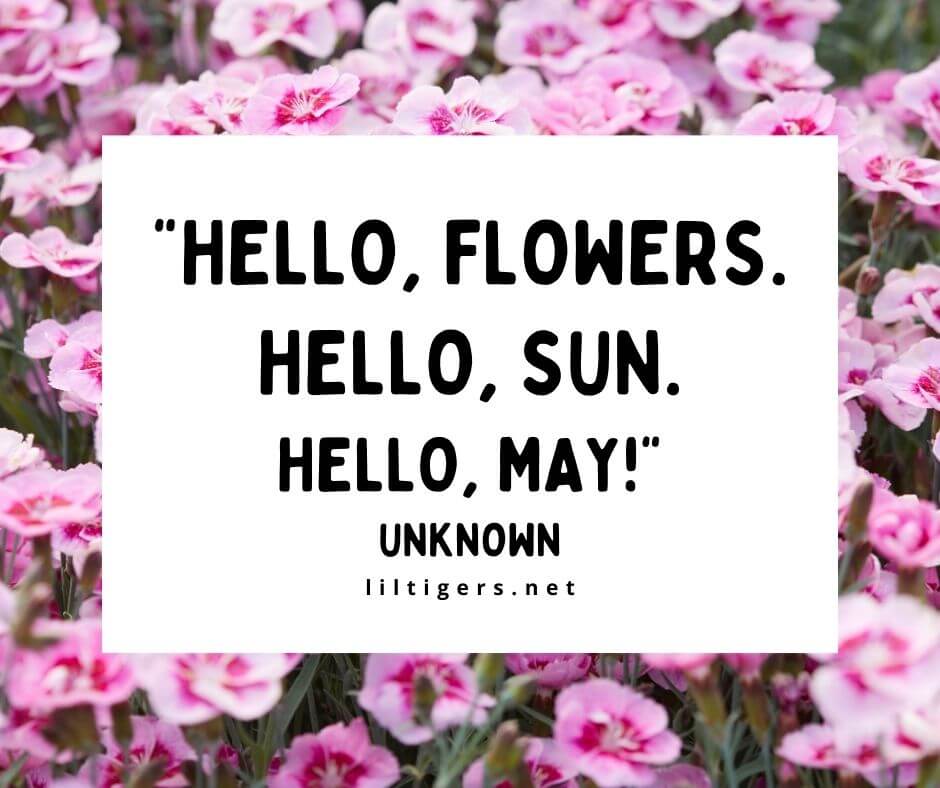 hello Spring quotes for May