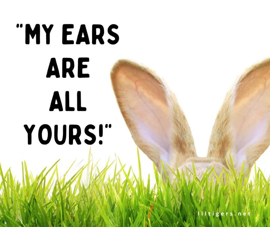 fun bunny puns for kids