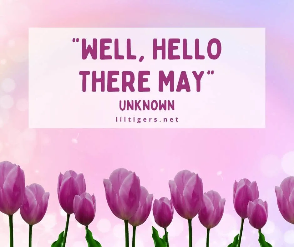 quotes about may
