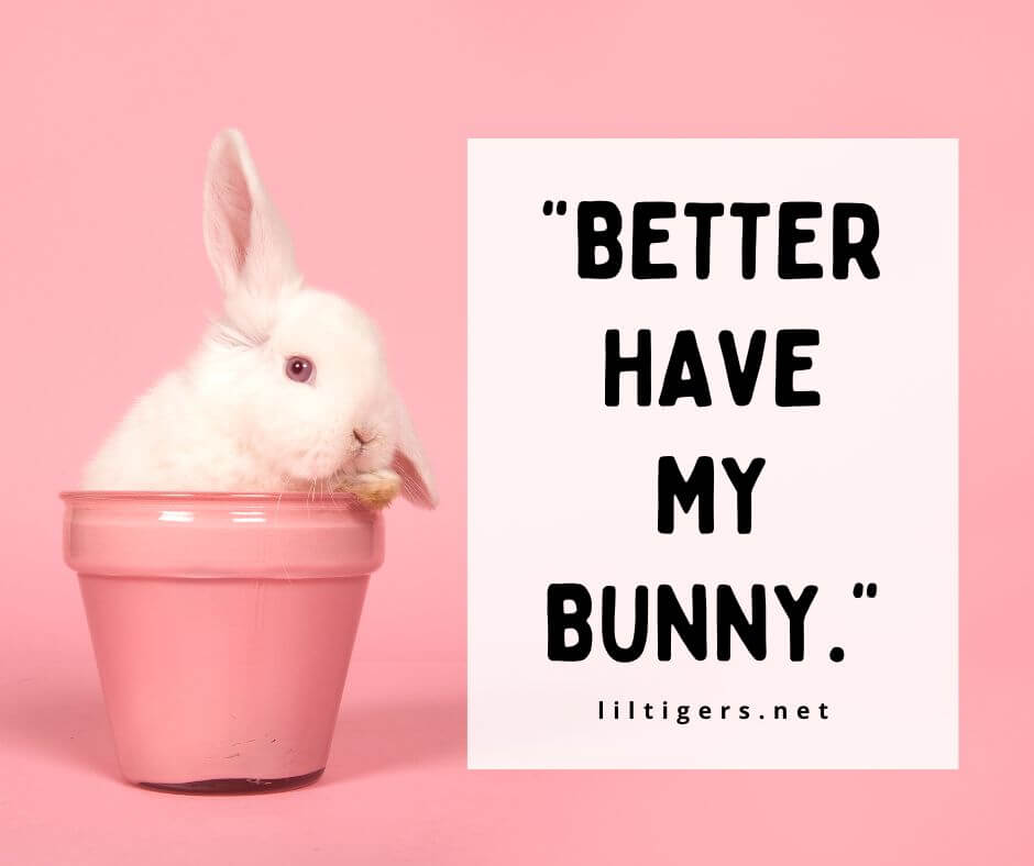 funny bunny puns