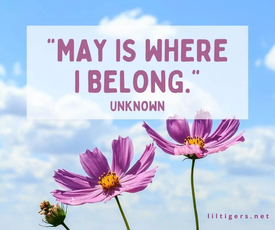 sayings for may