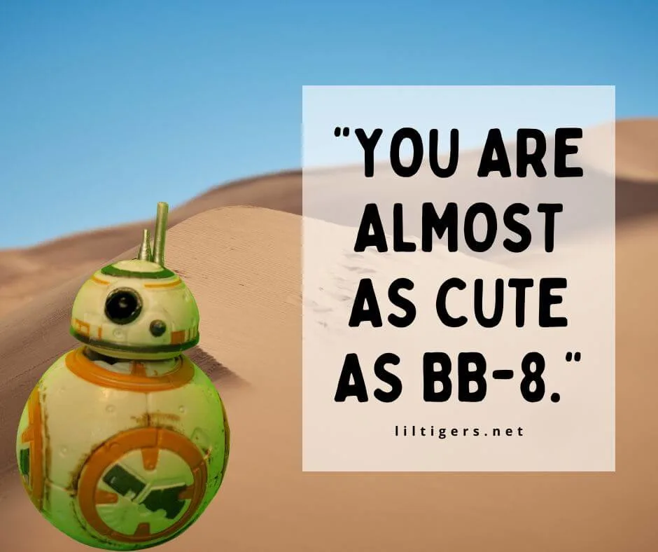 Funny Star Wars Puns