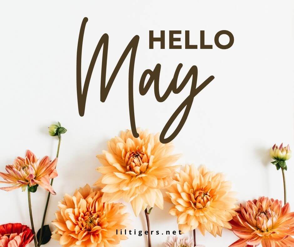 hello may sayings for kids