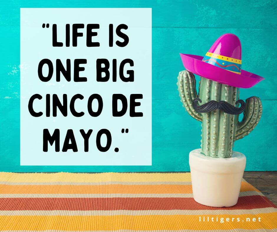 quotes about cinco de mayo for kids
