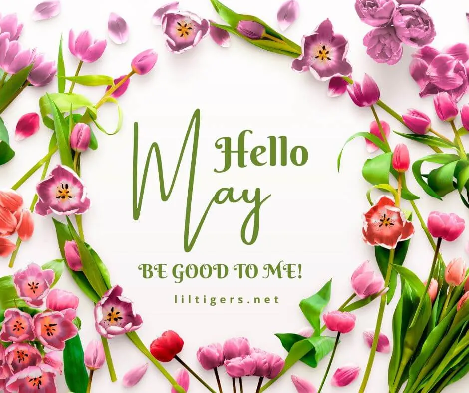 hello May quotes