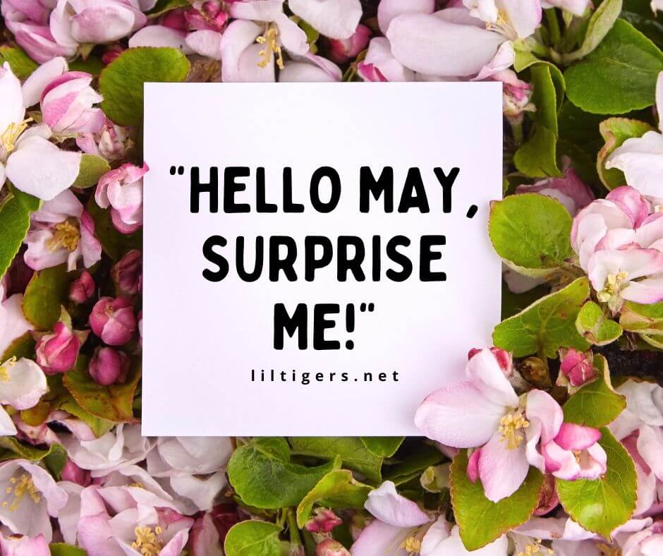 hello may quotes 2023
