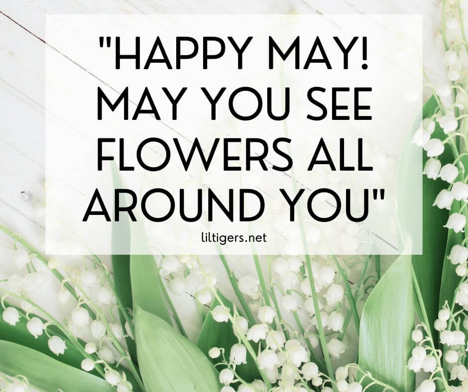 Happy May Quotes 2023