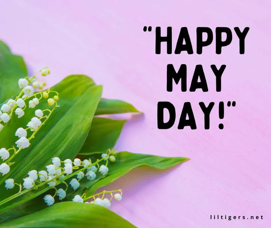 hello may day quotes