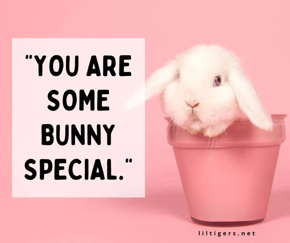 Sweet Rabbit Sayings for Kids