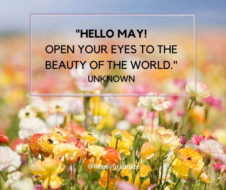 hello may quotes and sayings