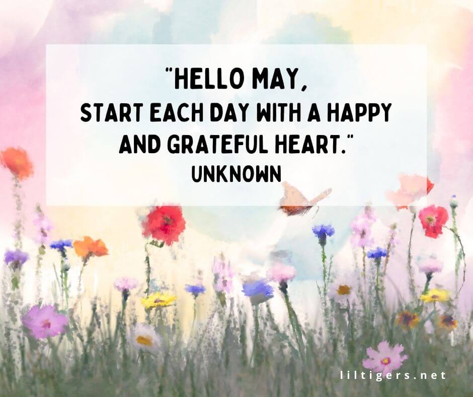 happy may quotes and sayings