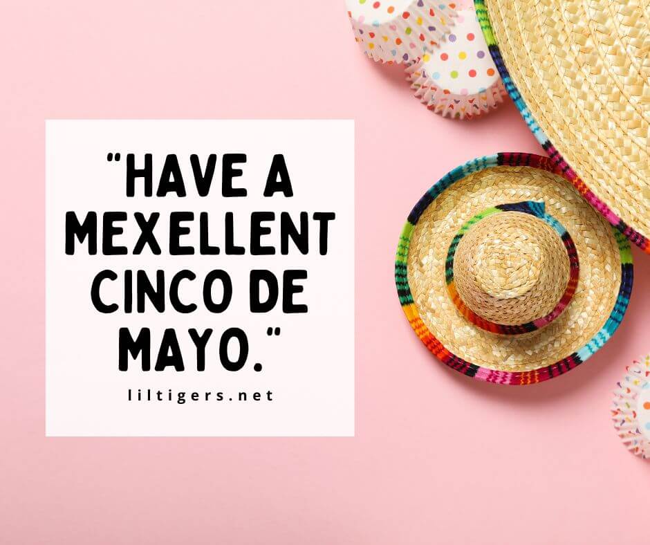 happy cinco de mayo quotes for kids