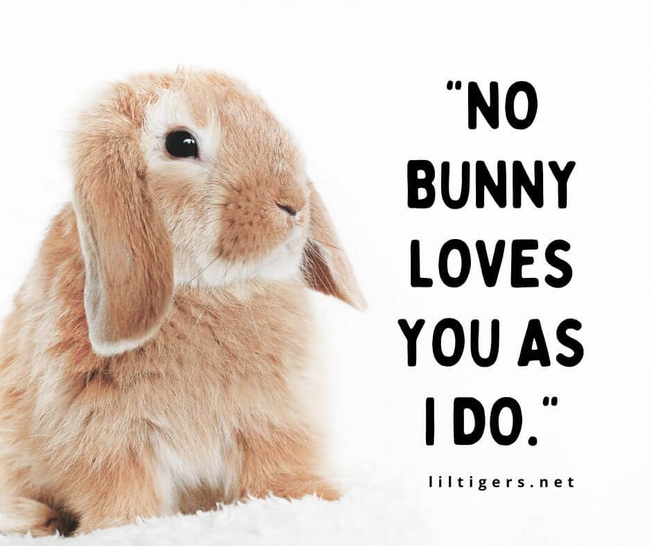 Cute Bunny Quotes for Kids