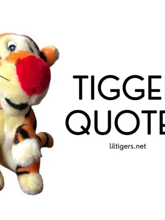 Best Tigger Quotes for Kids