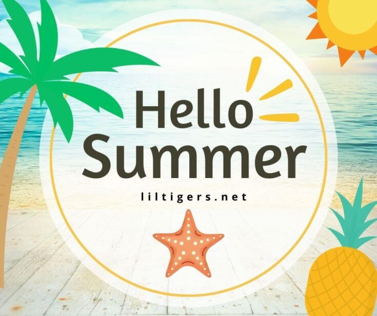 190 Best Summer Quotes for Kids Lil Tigers