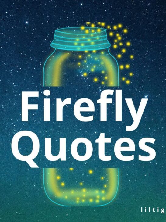 fireflies quotes for kids
