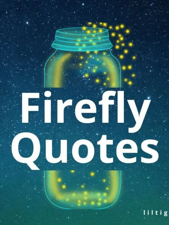 fireflies quotes for kids