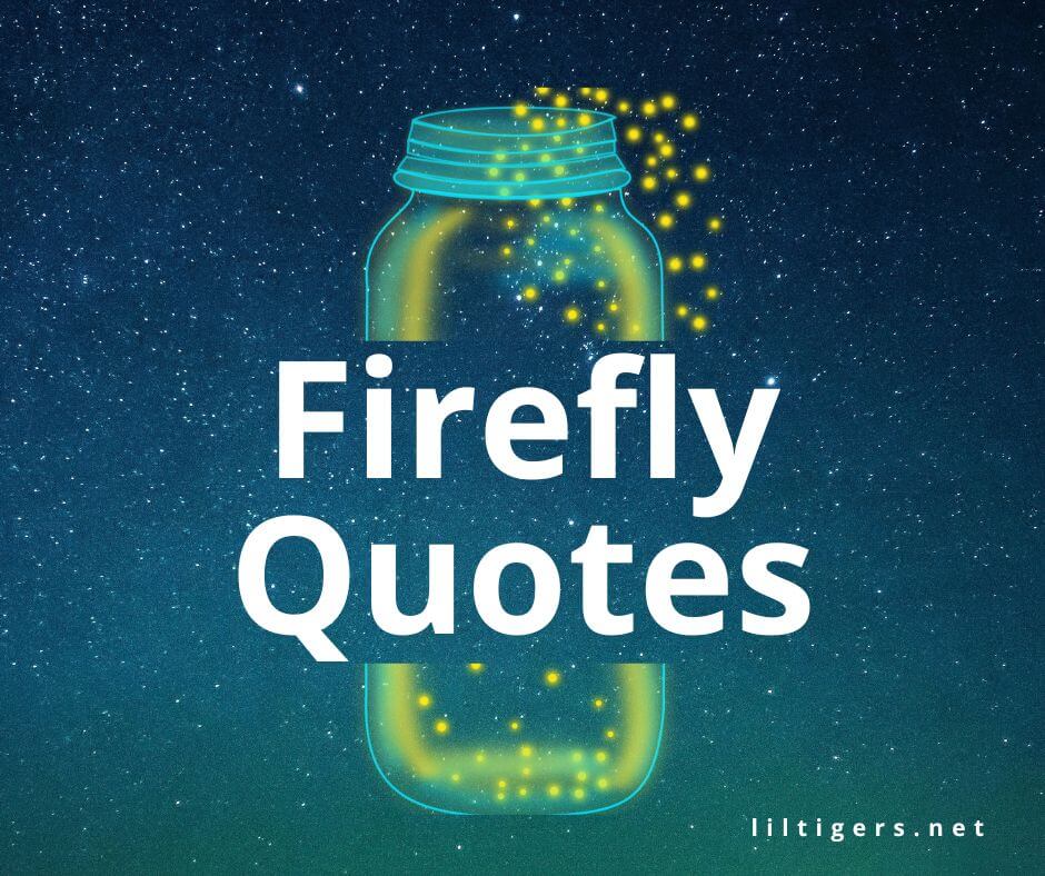 fireflies quotes for kids