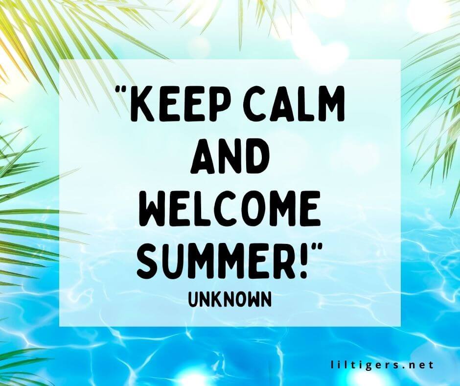 Welcome Summer Quotes 2023