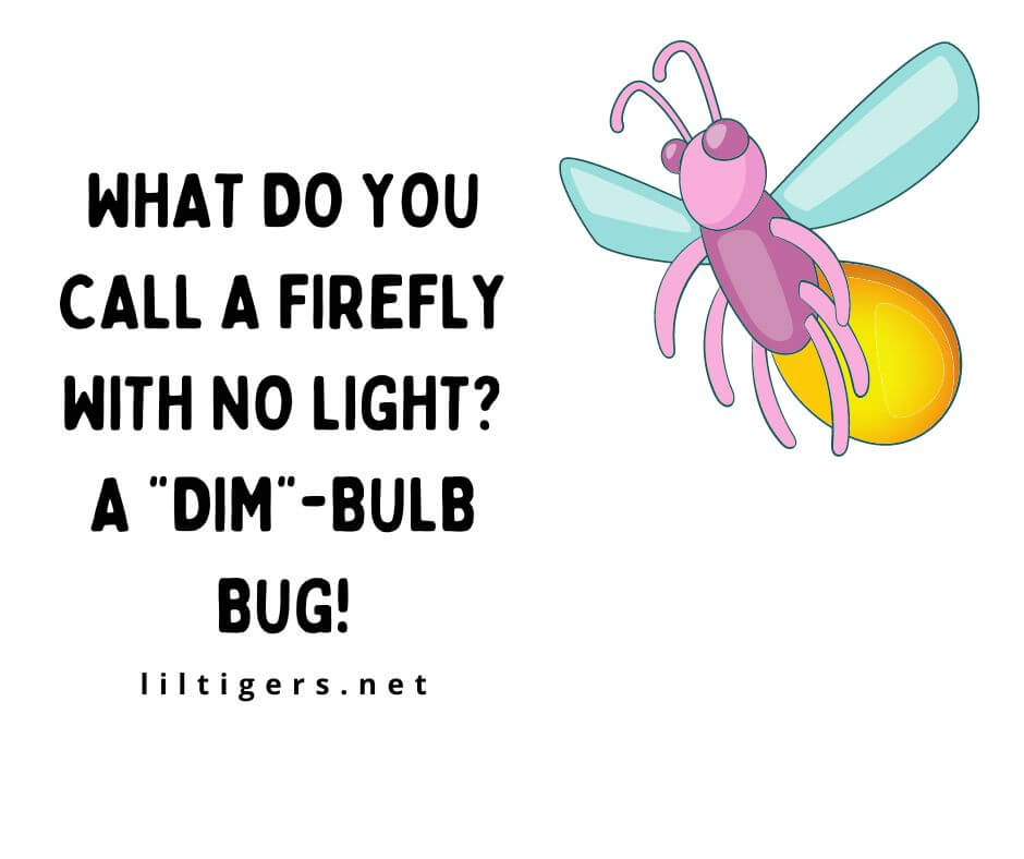 Funny Firefly Puns for Kids