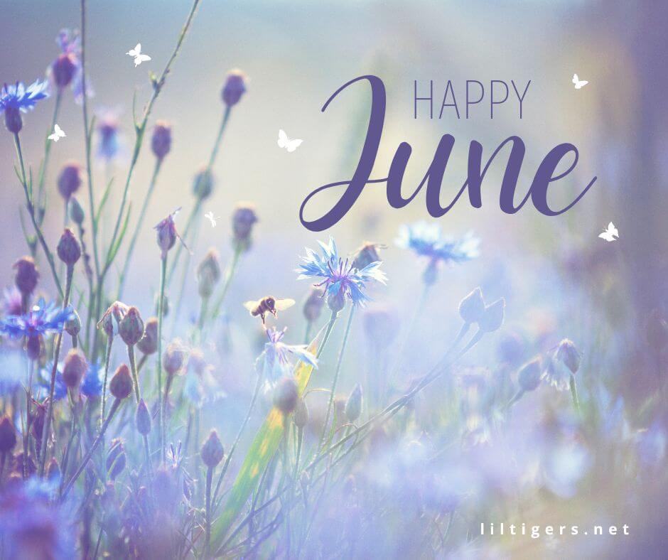Happy June Wishes for kids