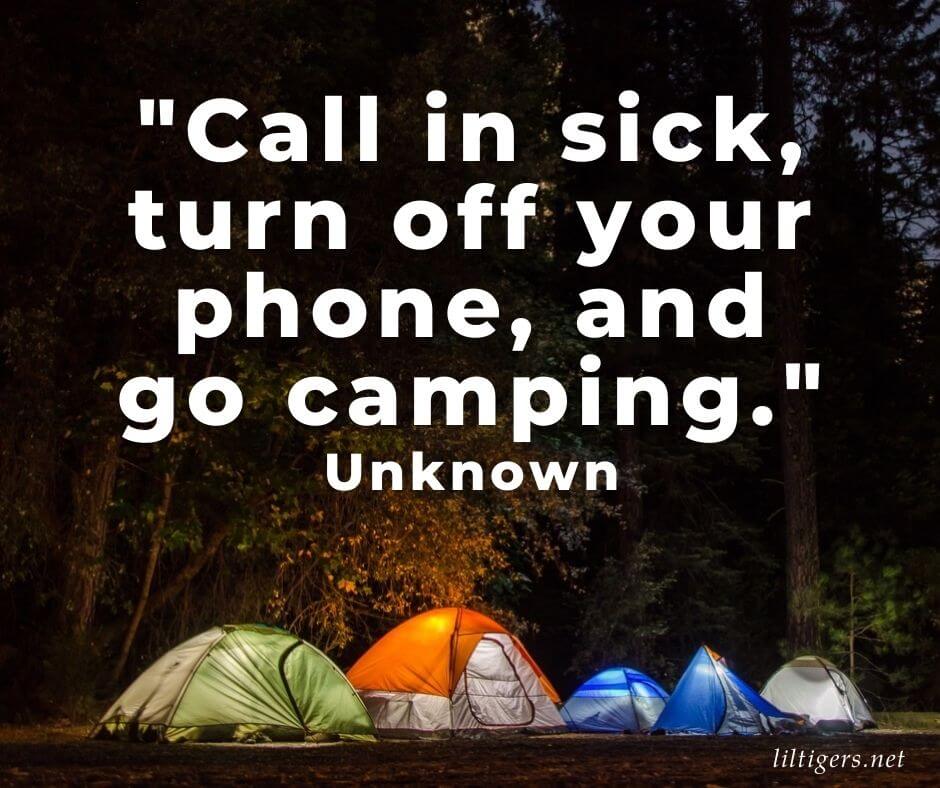 Funny Camping Puns for kids