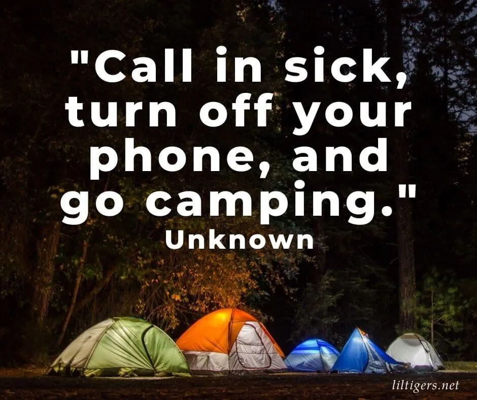 Funny Camping Puns for kids