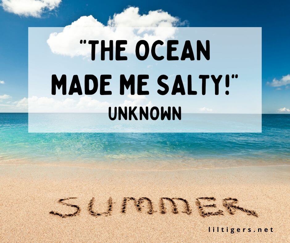 Funny Summer Puns for kids