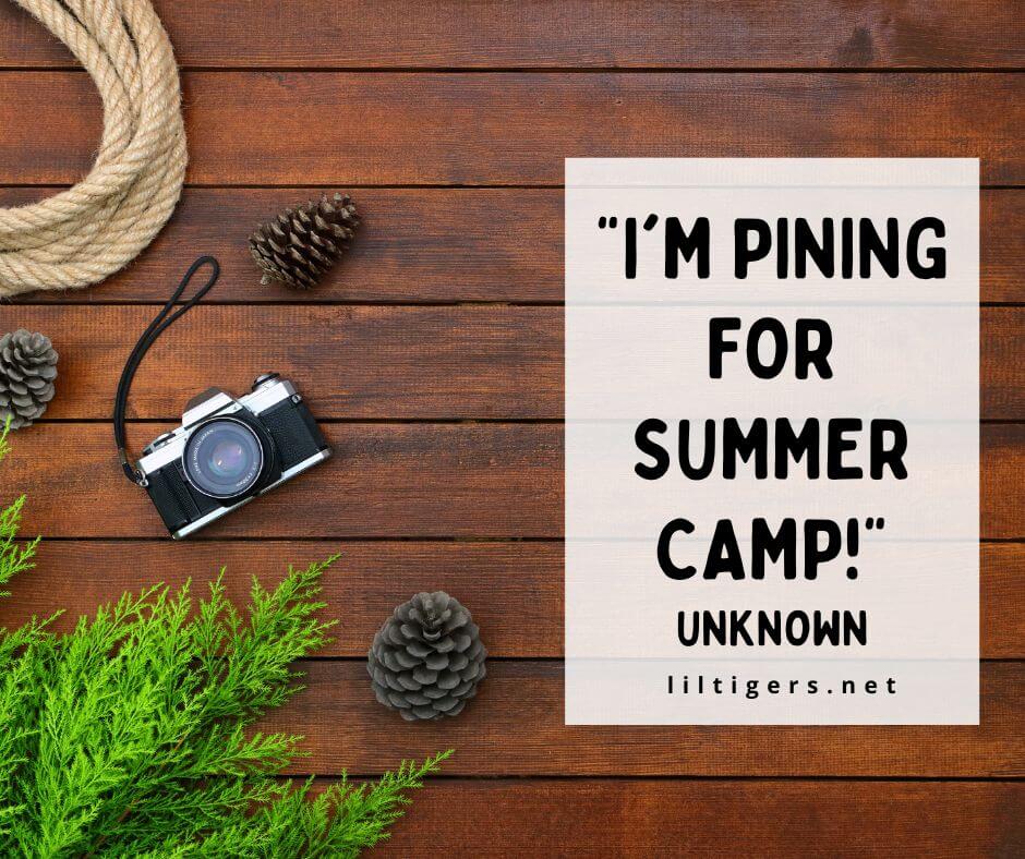 Fun Summer Camp Puns for kids