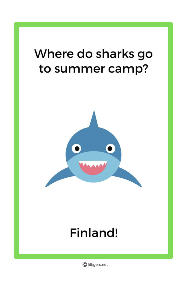 55 Best Summer Camp Jokes for Kids Lil Tigers